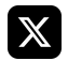 [Icon] X